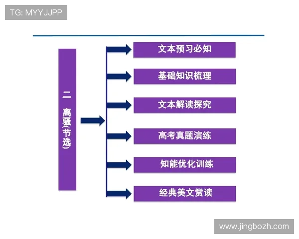 胜利体育用户体验优化策略，提升平台粘性与用户满意度的方法